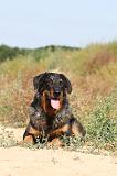 BEAUCERON 293